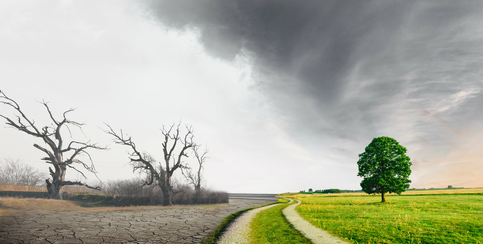 climate adaptation inframanage