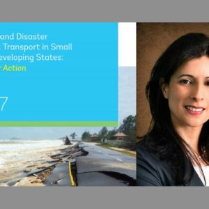climate and disaster resilient transport
