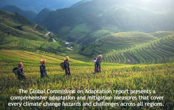 climate adaptation food production