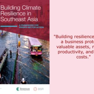 BSR Study Reports the Value of Building Climate-Resilient Businesses