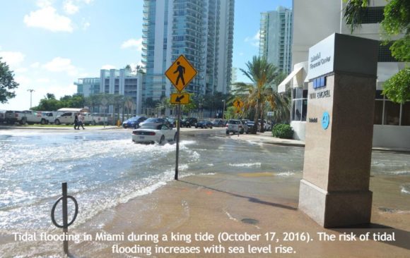 Two Ways to Adapt to Sea-Level Rise