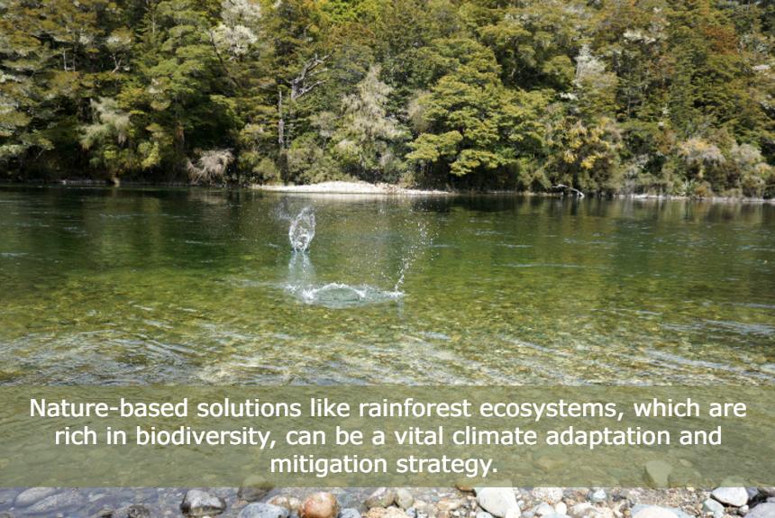 climate adaptation through ecosystems build up