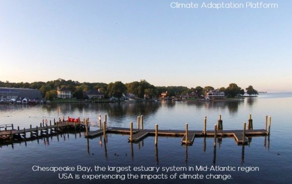 climate change impacts chesapeake bay