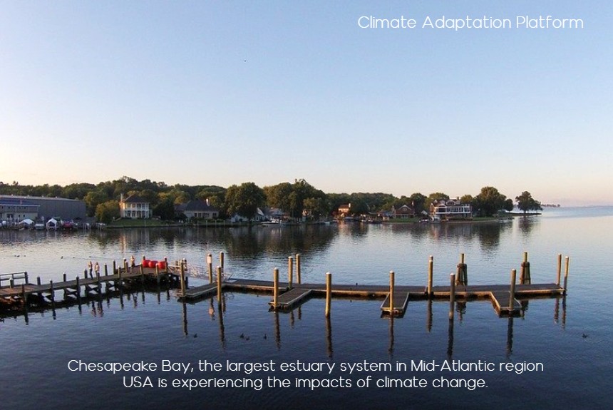climate change impacts chesapeake bay