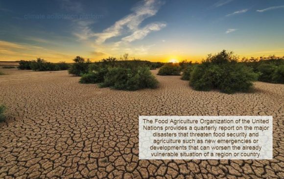 climate adaptation food security agriculture