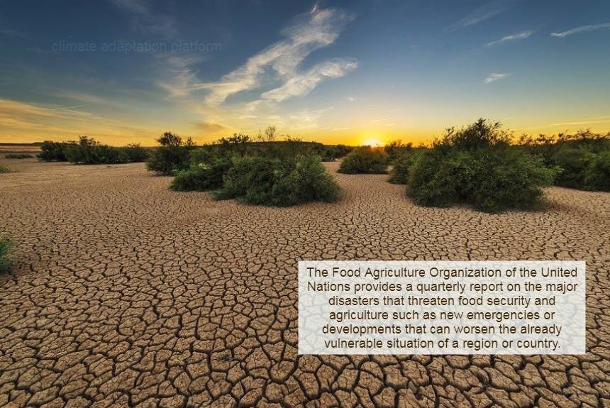 climate adaptation food security agriculture