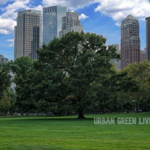 urban green living
