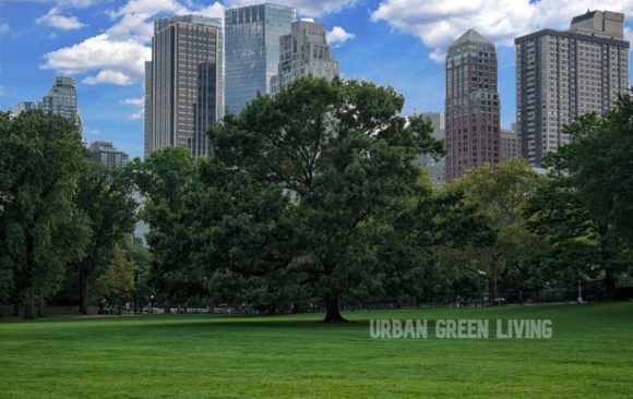 urban green living