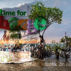 climate adaptation must be transformative