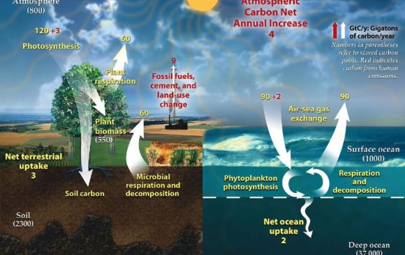 climate adaptation platform carbon cycle