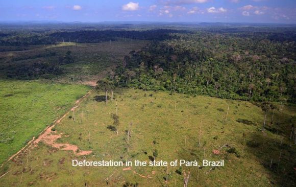 climate change risk Brazil