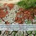 climate change adaptation droughts