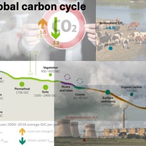 climate change carbon cycle