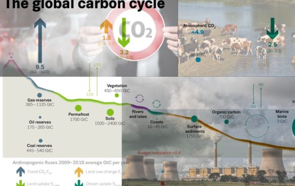 climate change carbon cycle