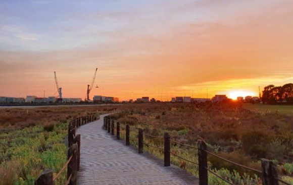 climate adaptation carbon offsetting nz