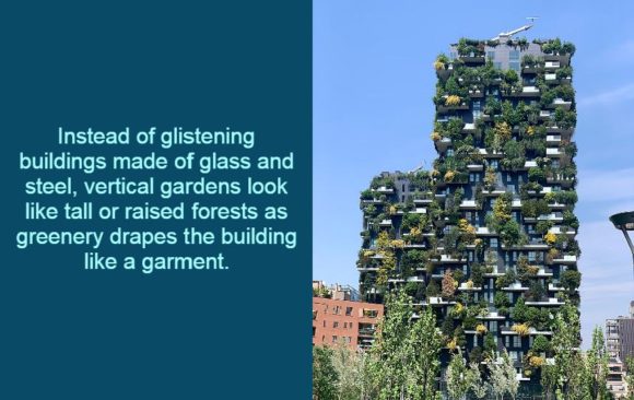 climate adaptation platform vertical forests