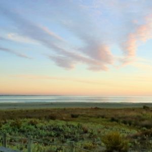 climate adaptation New Zealand Coastal Society