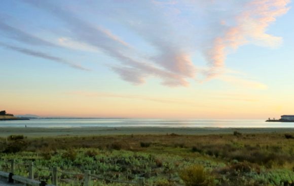 climate adaptation New Zealand Coastal Society