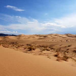 climate adaptation drylands Gobi