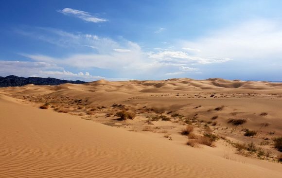 climate adaptation drylands Gobi