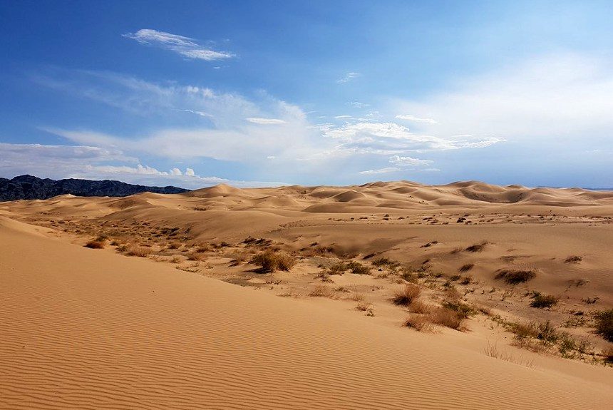 climate adaptation drylands Gobi