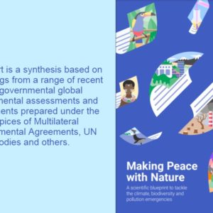 UNEP 2021 Report – Making Peace with Nature