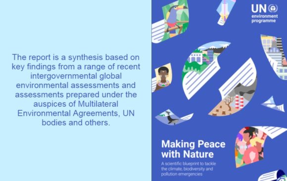 UNEP 2021 Report – Making Peace with Nature