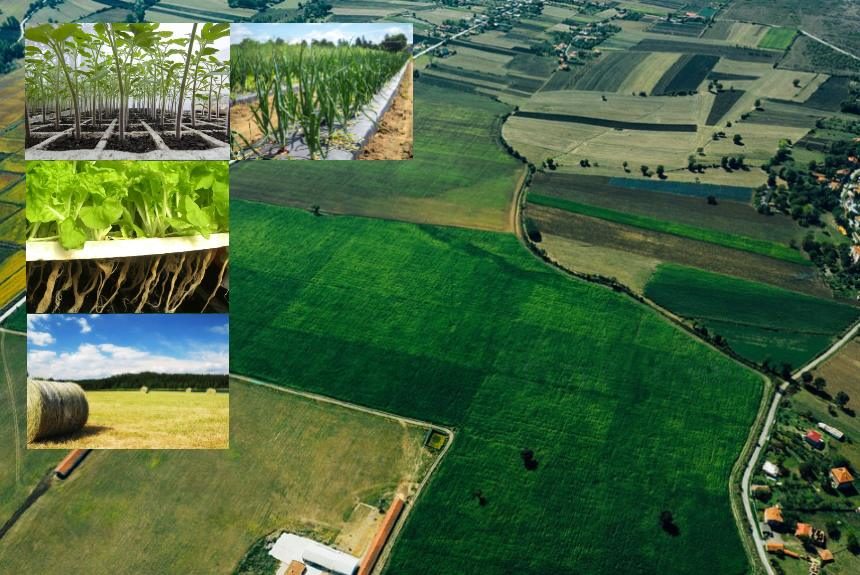 climate adaptation sweden organic farming