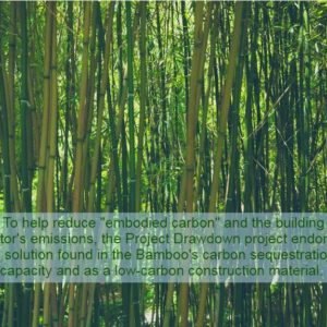 climate adaptation carbon sequestration bamboo