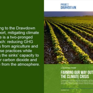 climate adaptation project drawdown