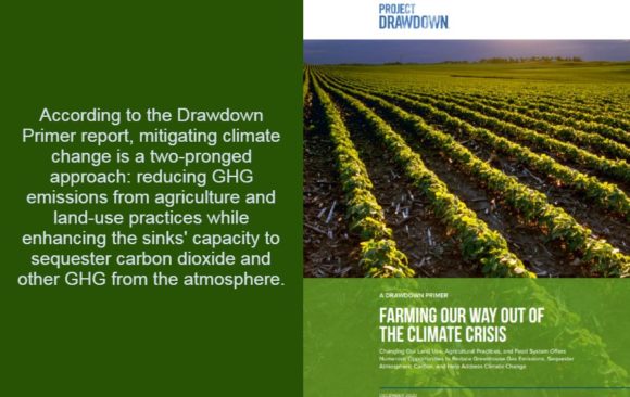 climate adaptation project drawdown