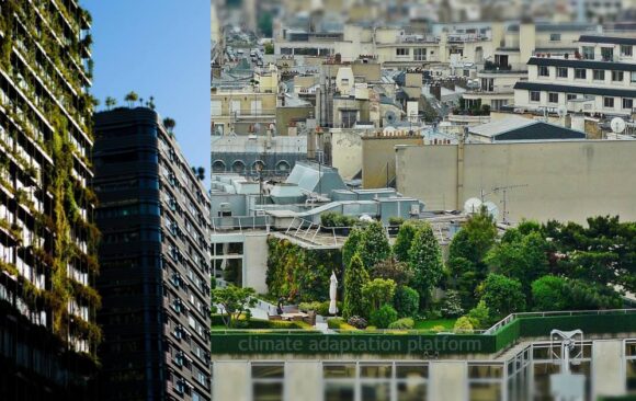 climate adaptation fukuoka green terraced acros climate adaptation fukuoka green terraced acros