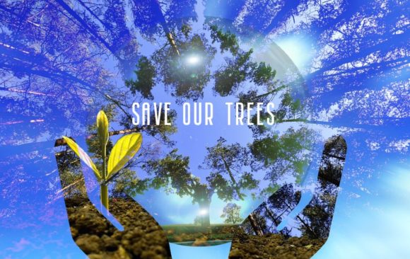 Saving Trees for a Climate Changed Future