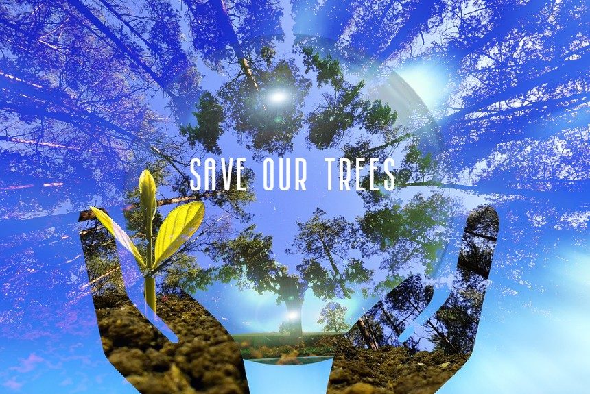 Saving Trees for a Climate Changed Future