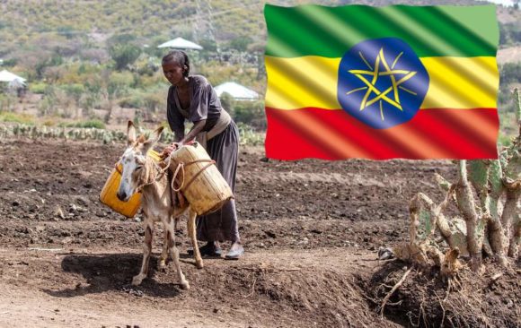 climate adaptation ethiopian farmers