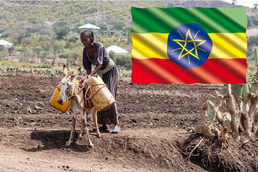 climate adaptation ethiopian farmers