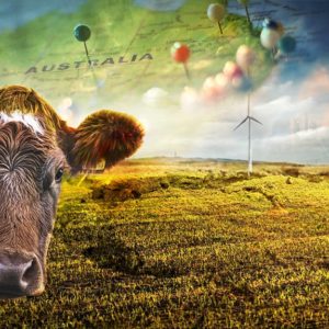 climate adaptation Australian farmers