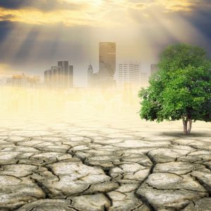 climate change adaptation terminologies simplified