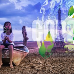 climate adaptation Paris Agreement COP26