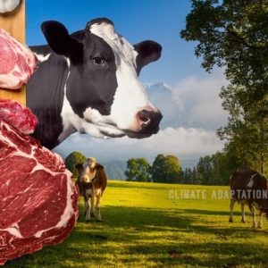 climate adaptation platform meat and dairy