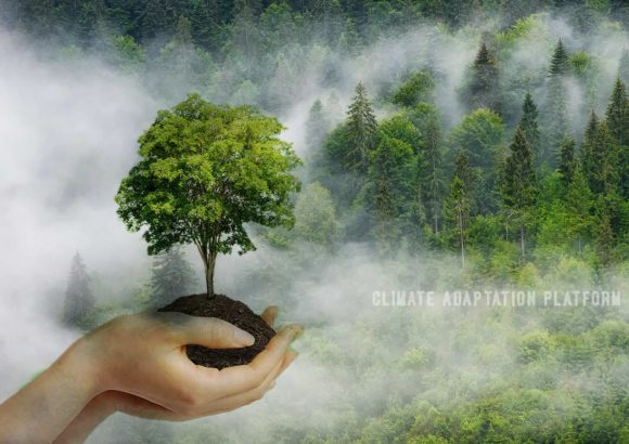 climate adaptation platform