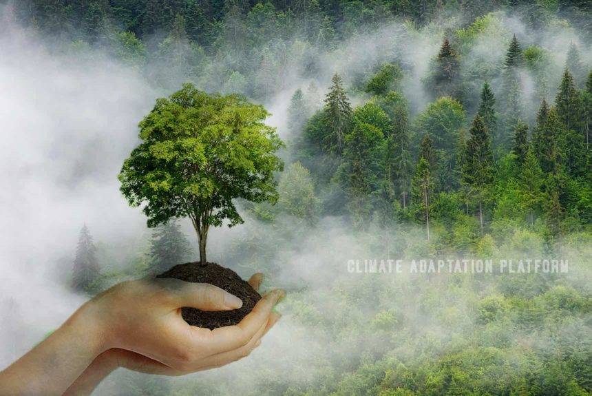 climate adaptation platform