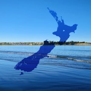 climate adaptation platform NZ coastal properties