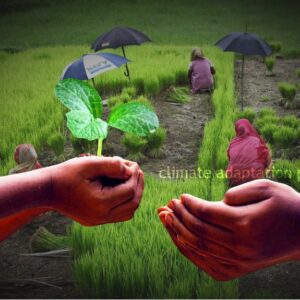 climate adaptation regenerative agriculture