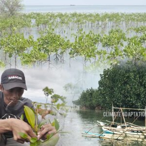 Climate adaptation Building Climate Resilience Using Green and Grey solutions in Storm-ravaged Coastal Towns in the Philippines