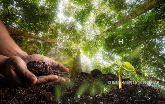 Storing carbon in soil as solution to climate problems