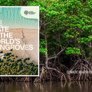 Climate Adaptation state of the world's mangroves in 2022 report
