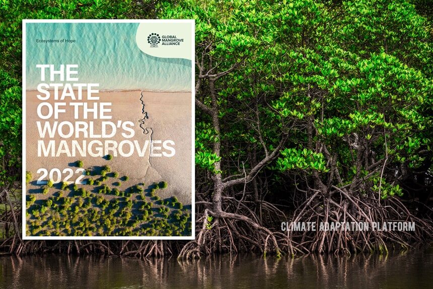 Climate Adaptation state of the world's mangroves in 2022 report