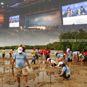 climate adaptation COP27 and the Need for Climate adaptation in Asia and the Pacific