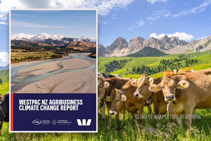 Climate Adaptation New Report reveals how Climate Change affect New Zealand farmers